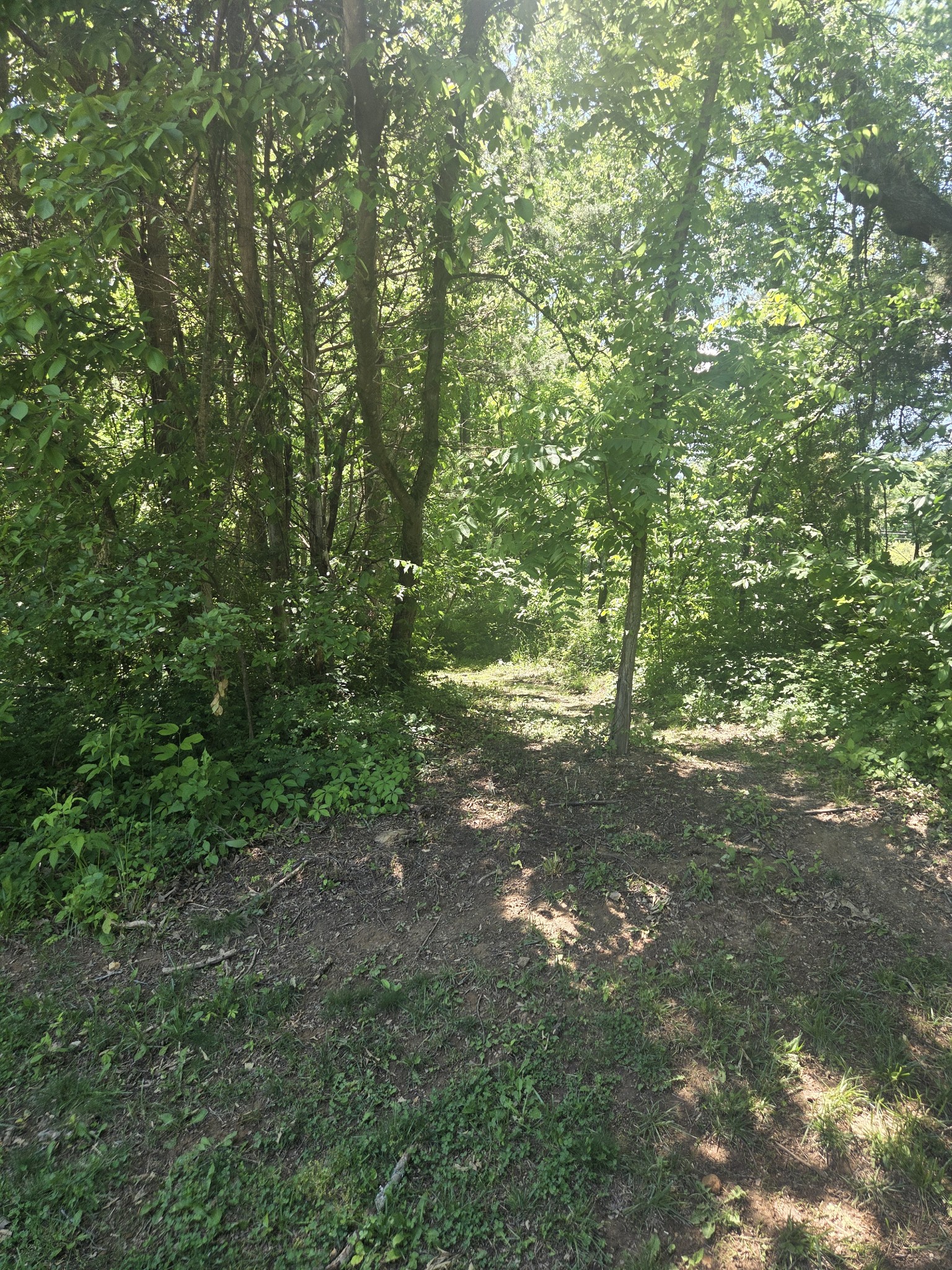 2034 Christy Lane Greenbrier TN 37073