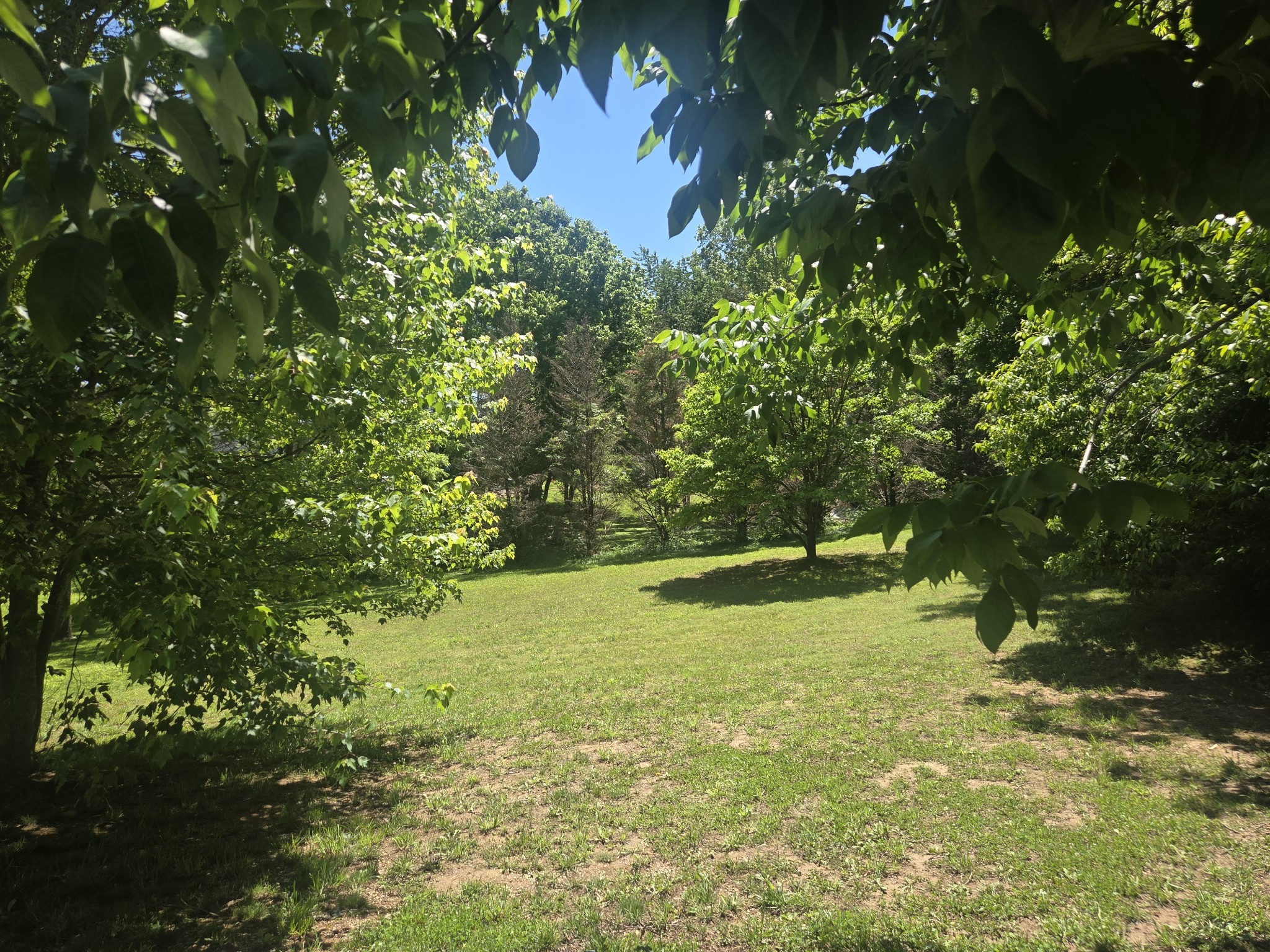 2034 Christy Lane Greenbrier TN 37073