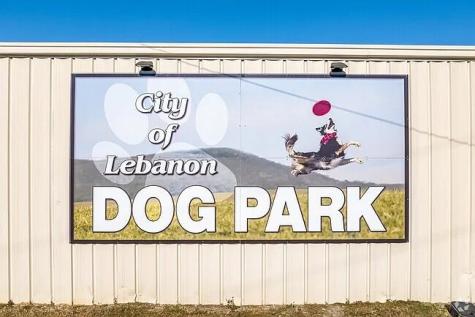 1705 Villa Circle Lebanon TN 37090