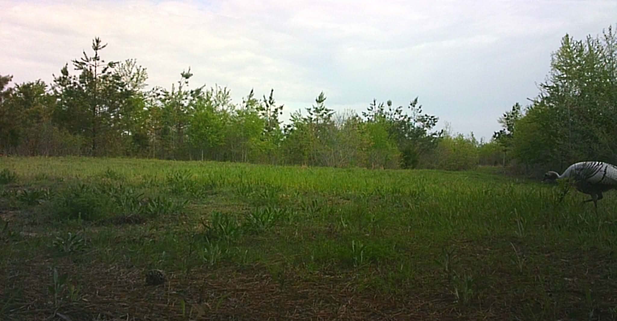830 Twin Pines Overlook Lobelville TN 37097