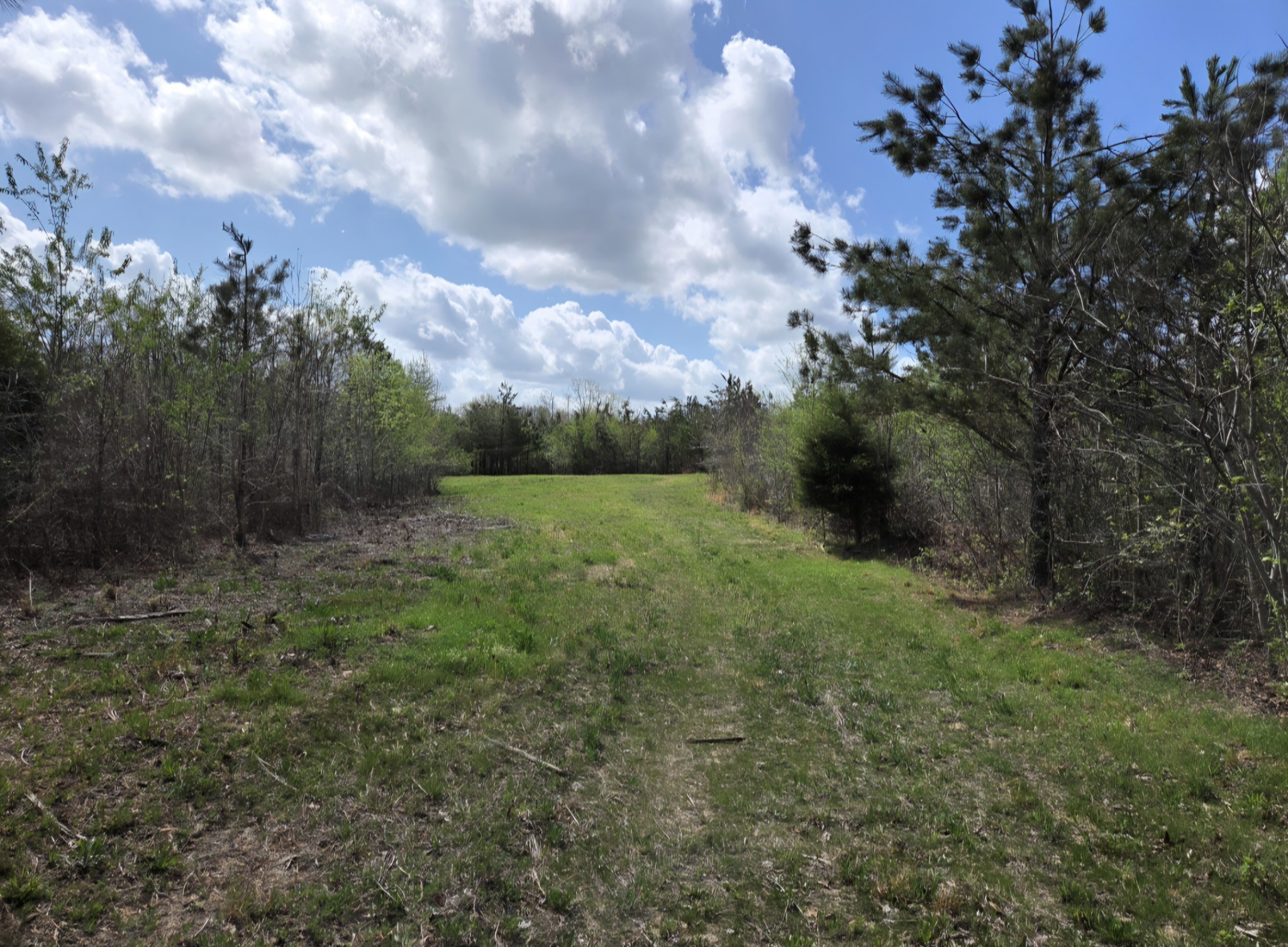830 Twin Pines Overlook Lobelville TN 37097
