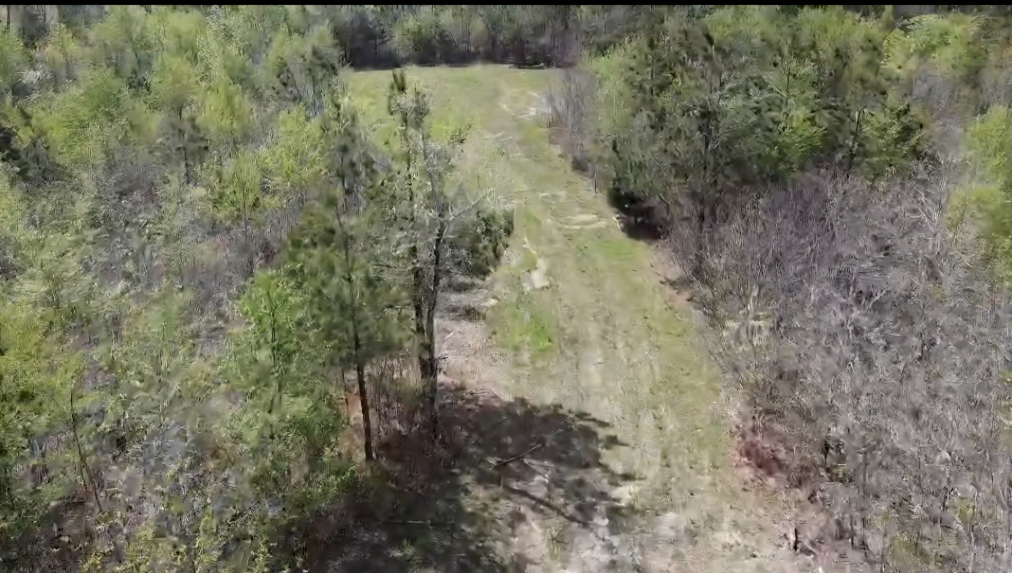830 Twin Pines Overlook Lobelville TN 37097