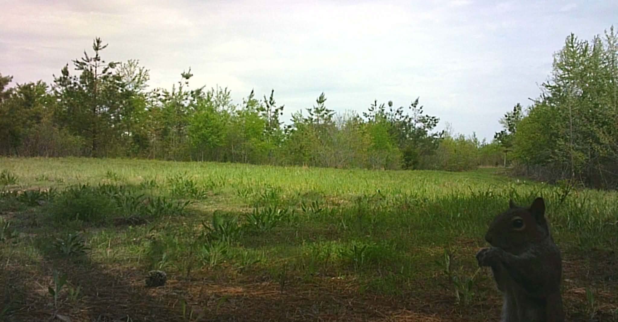 830 Twin Pines Overlook Lobelville TN 37097