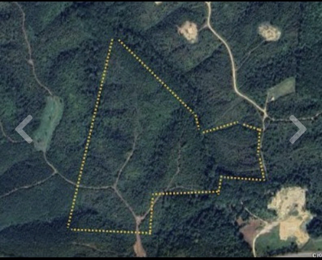 830 Twin Pines Overlook Lobelville TN 37097