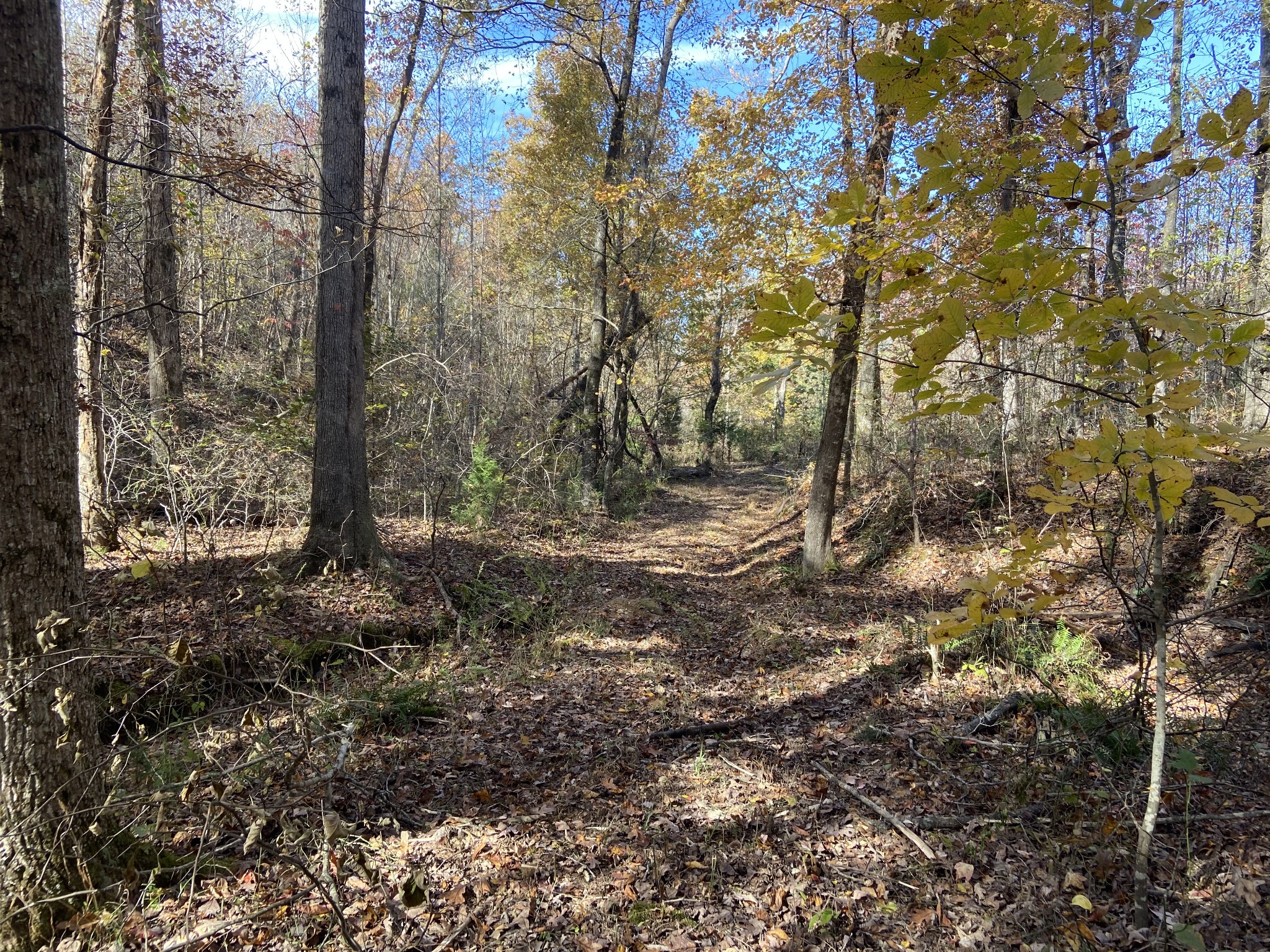 830 Twin Pines Overlook Lobelville TN 37097