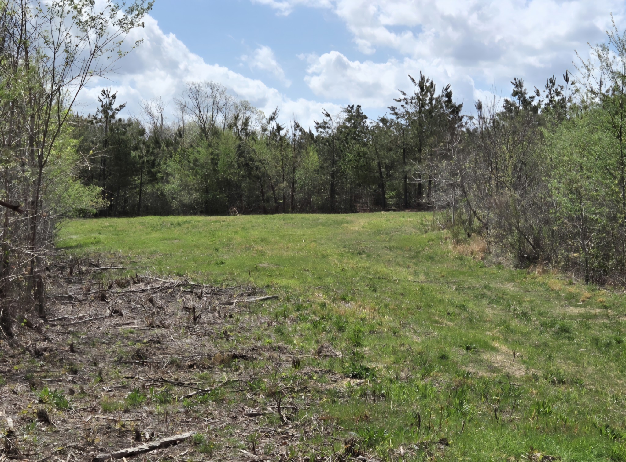 830 Twin Pines Overlook Lobelville TN 37097