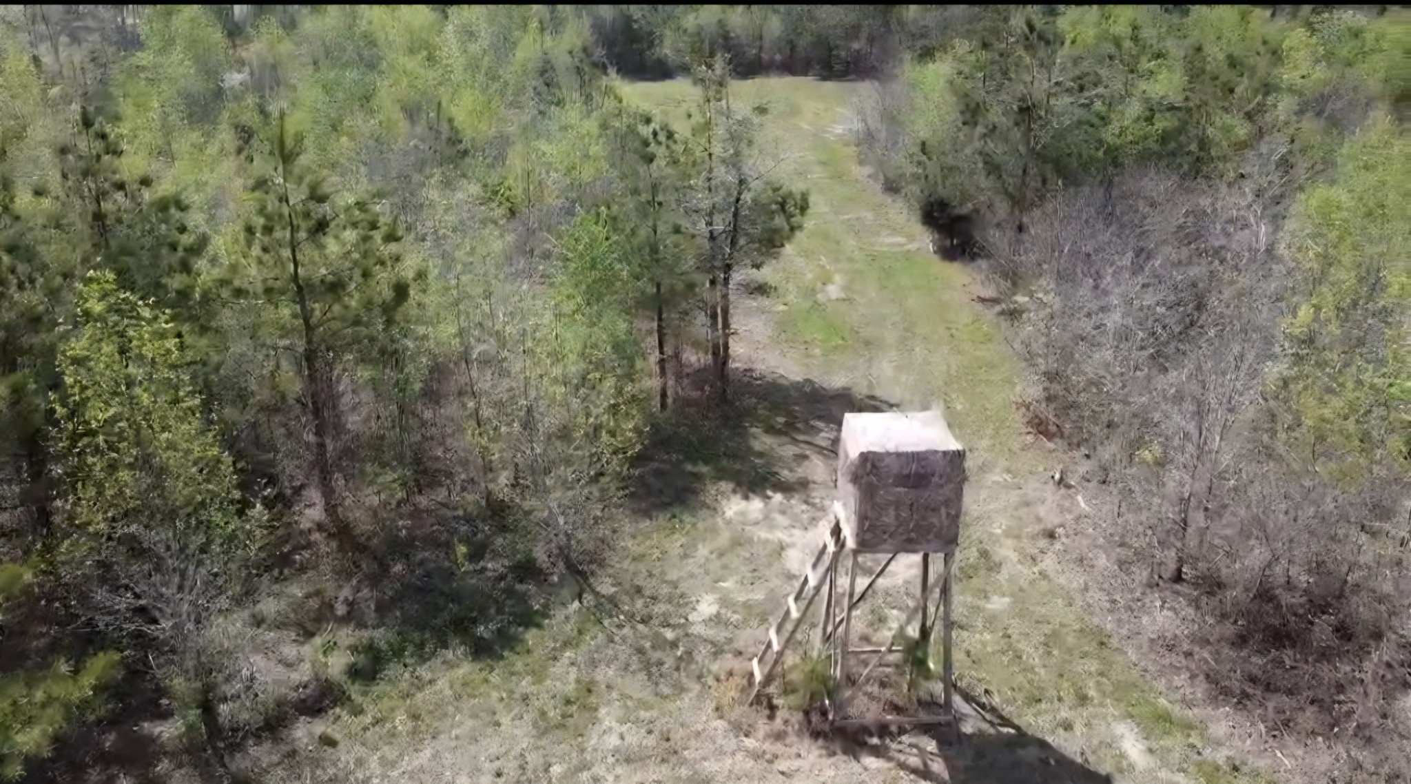 830 Twin Pines Overlook Lobelville TN 37097