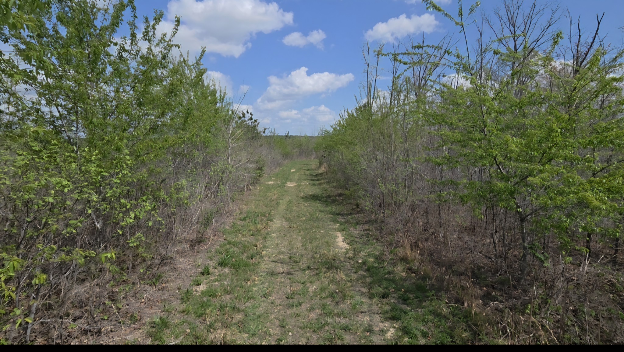 830 Twin Pines Overlook Lobelville TN 37097