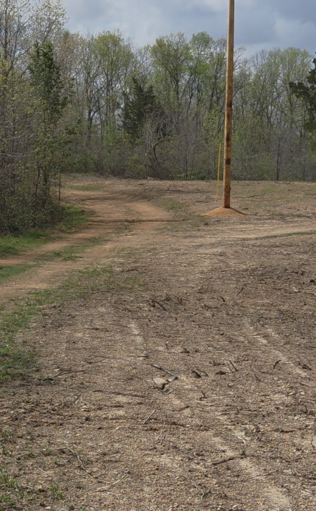 830 Twin Pines Overlook Lobelville TN 37097