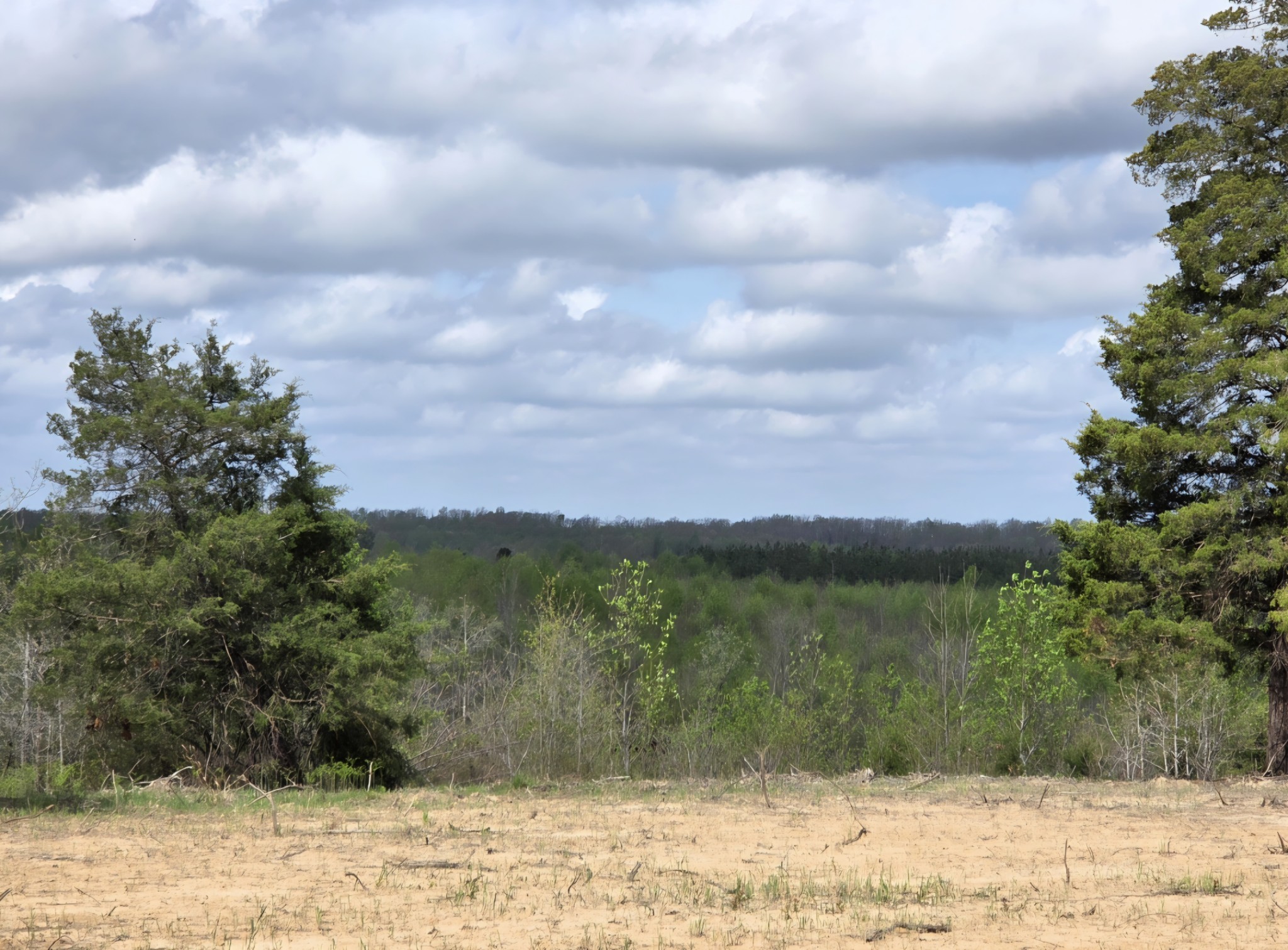 830 Twin Pines Overlook Lobelville TN 37097
