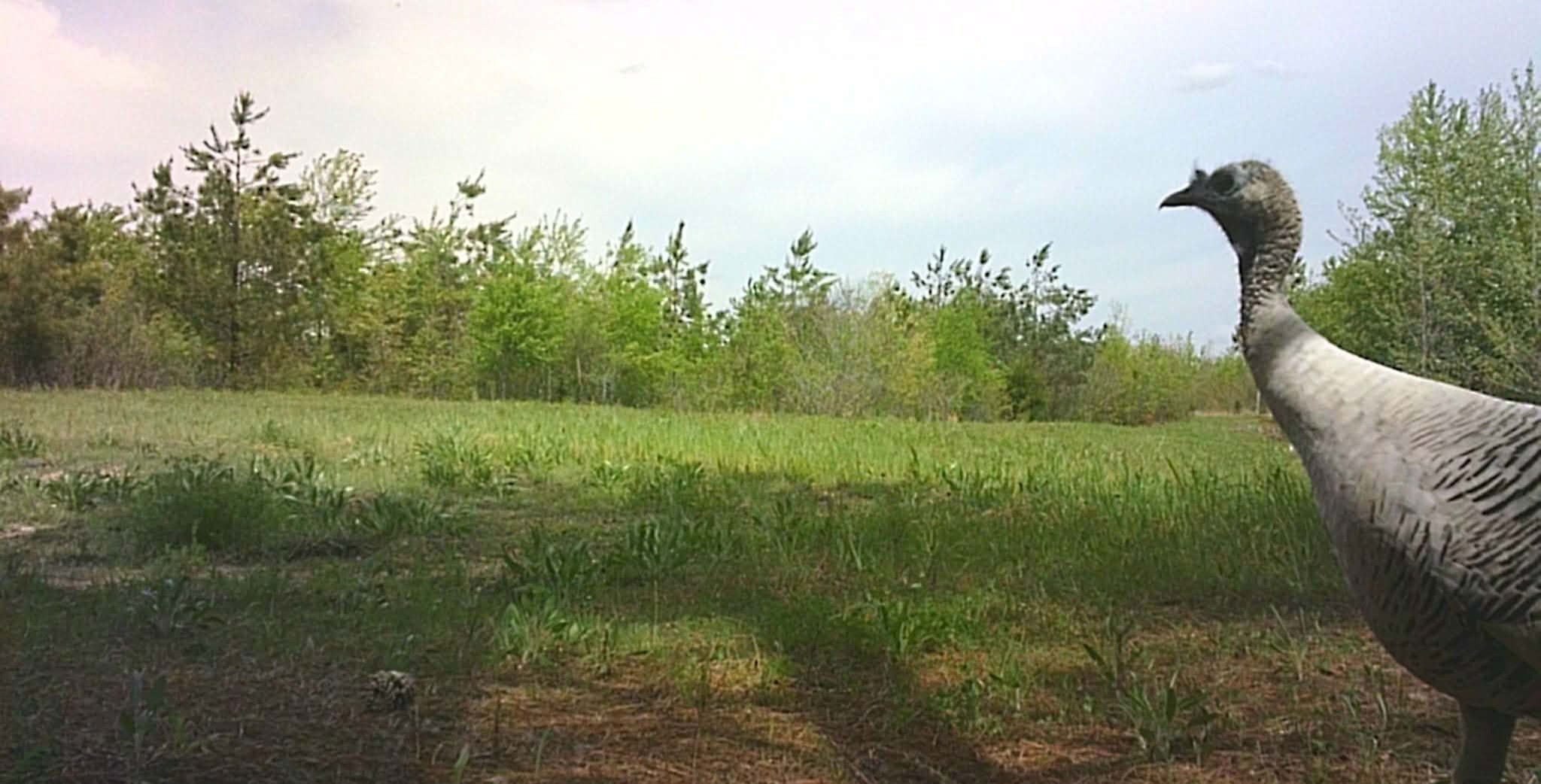 830 Twin Pines Overlook Lobelville TN 37097