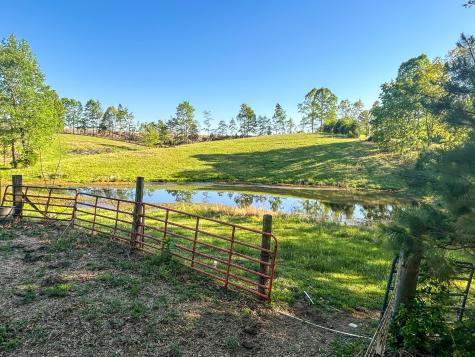 1185 Blackburn Road Mc Kenzie TN 38201