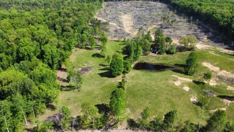 1185 Blackburn Road Mc Kenzie TN 38201