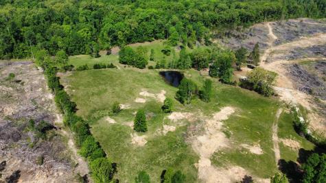 1185 Blackburn Road Mc Kenzie TN 38201