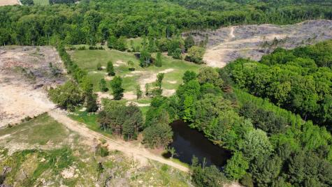 1185 Blackburn Road Mc Kenzie TN 38201