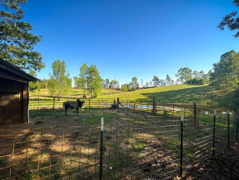 1185 Blackburn Road Mc Kenzie TN 38201