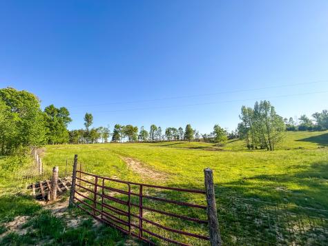1185 Blackburn Road Mc Kenzie TN 38201