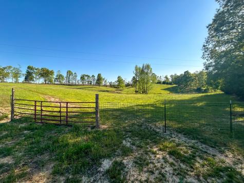 1185 Blackburn Road Mc Kenzie TN 38201