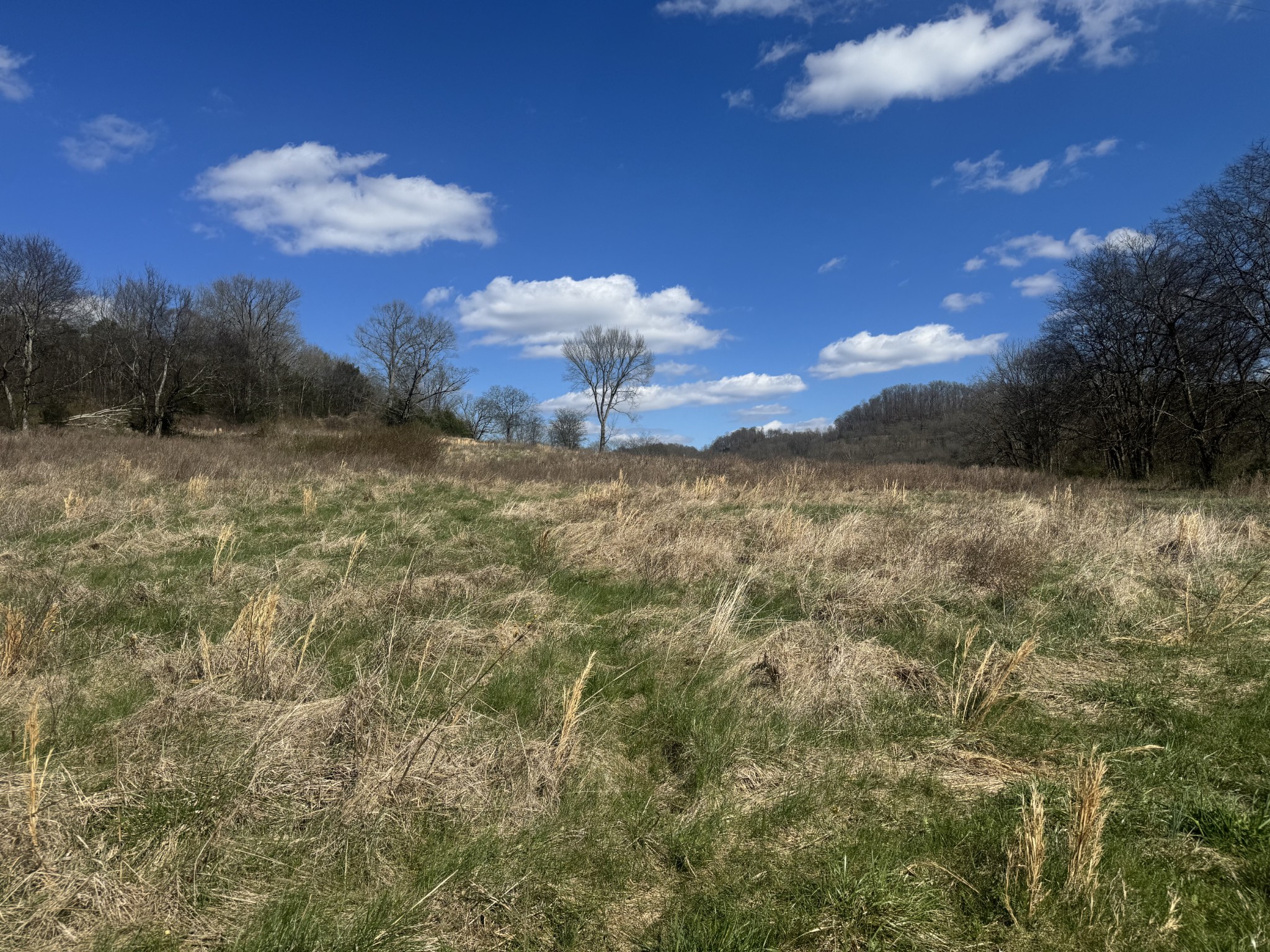 0 Salt Lick Creek Road Gainesboro TN 38562