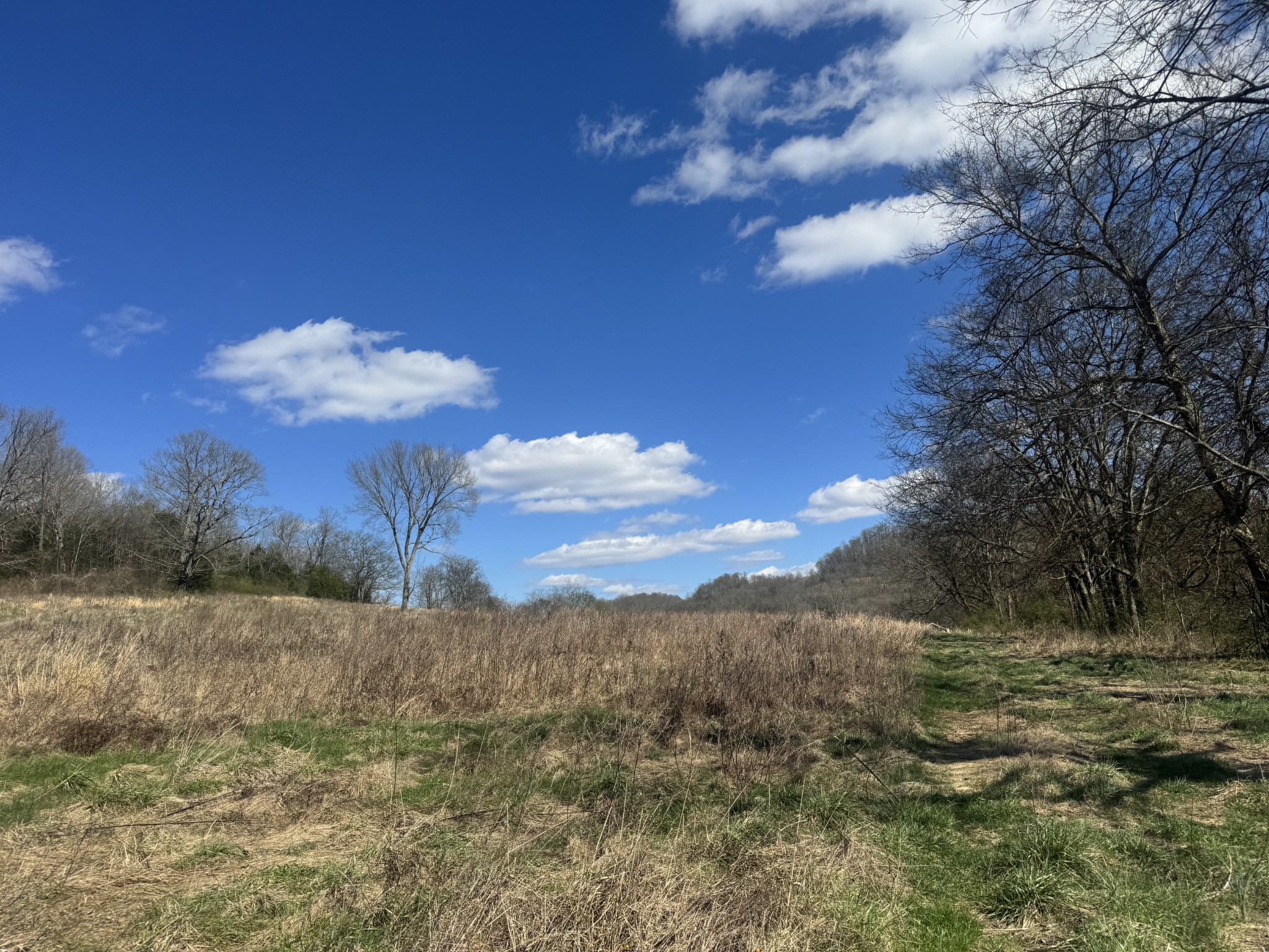 0 Salt Lick Creek Road Gainesboro TN 38562
