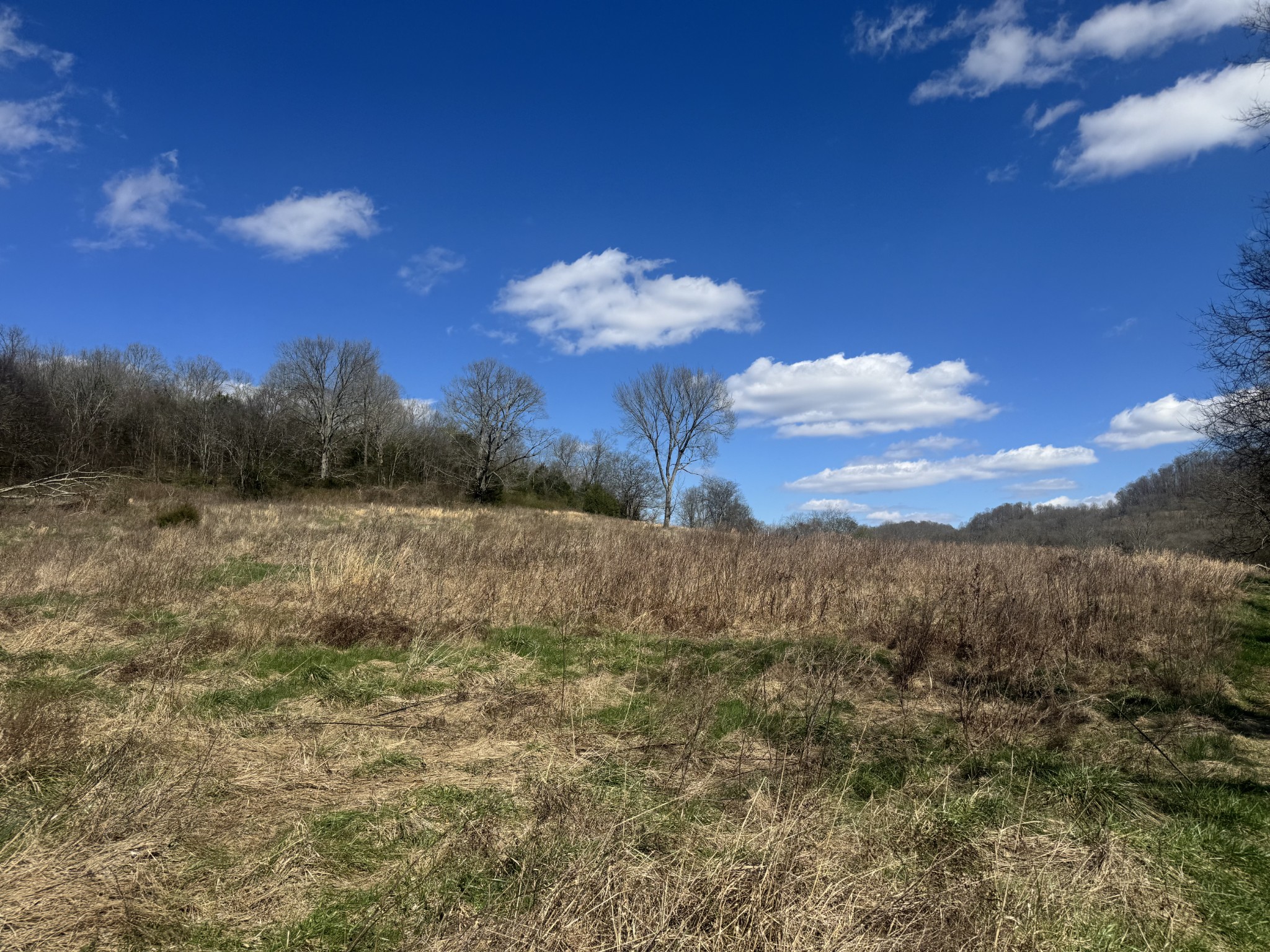 0 Salt Lick Creek Road Gainesboro TN 38562