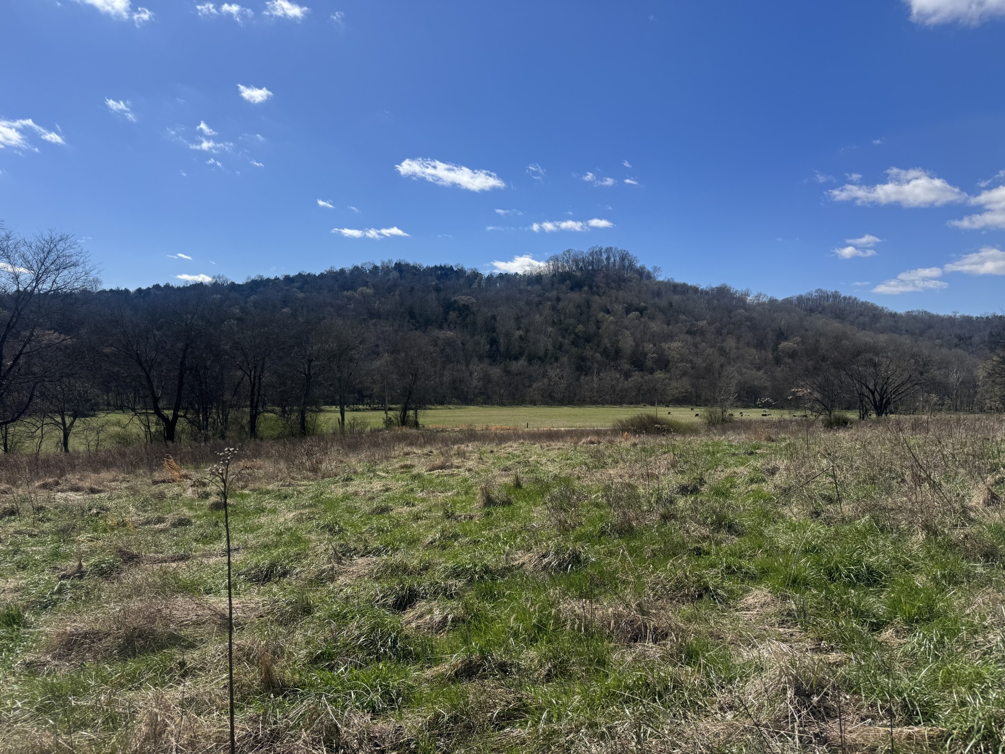 0 Salt Lick Creek Road Gainesboro TN 38562