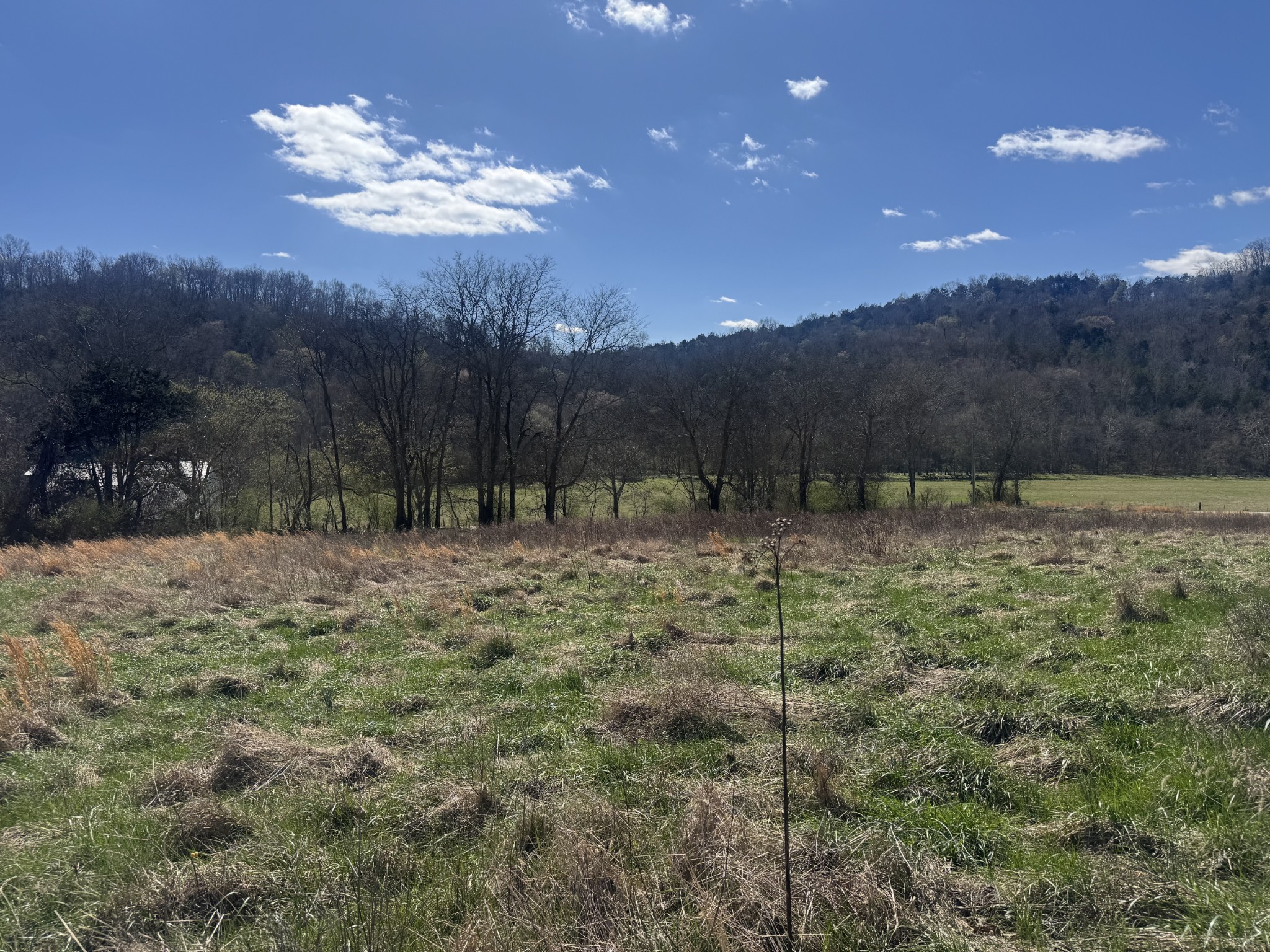 0 Salt Lick Creek Road Gainesboro TN 38562