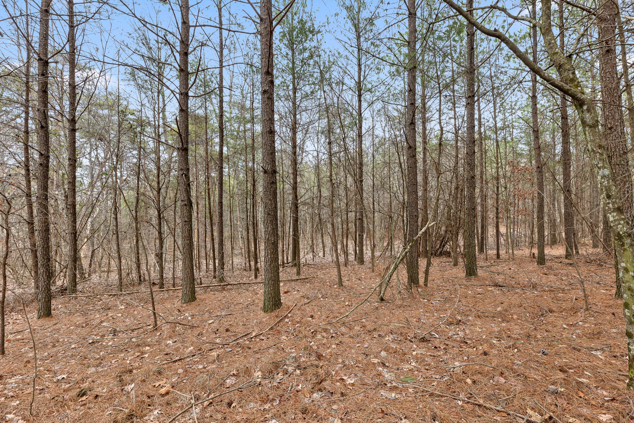 0 Crockett Point Sequatchie TN 37374
