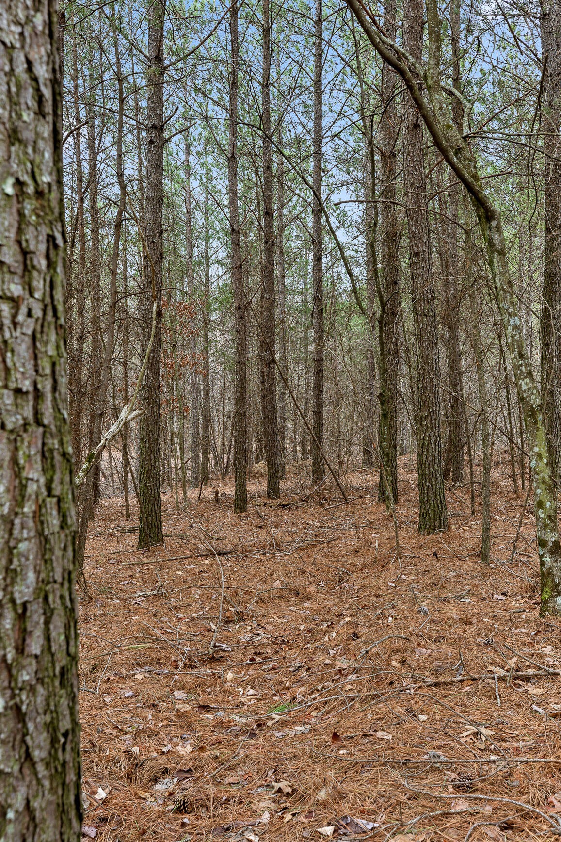 0 Crockett Point Sequatchie TN 37374