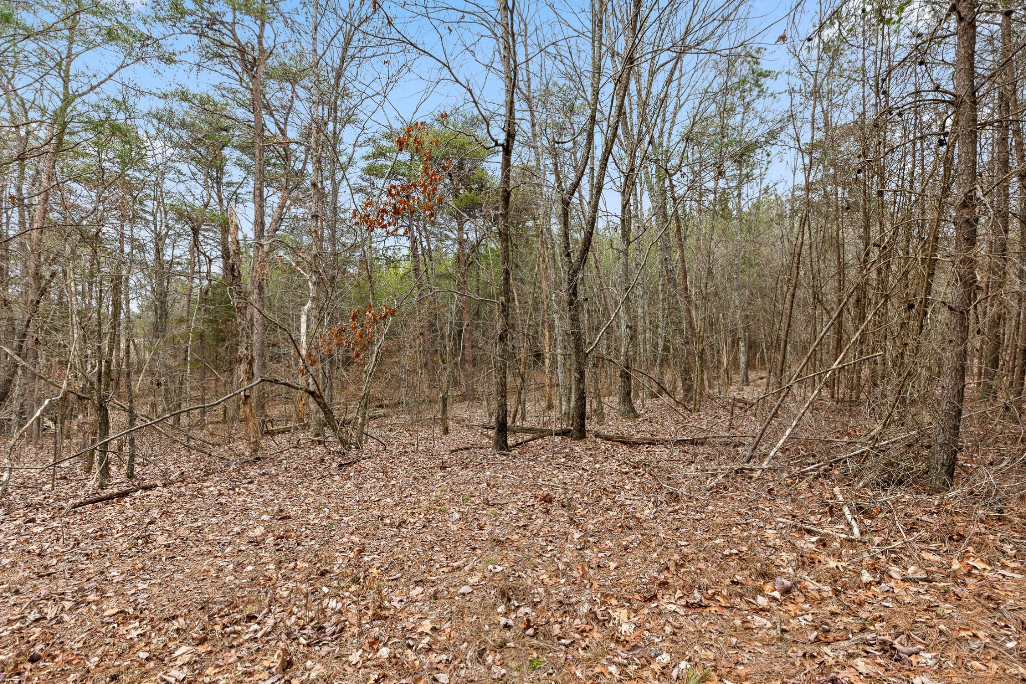 0 Crockett Point Sequatchie TN 37374