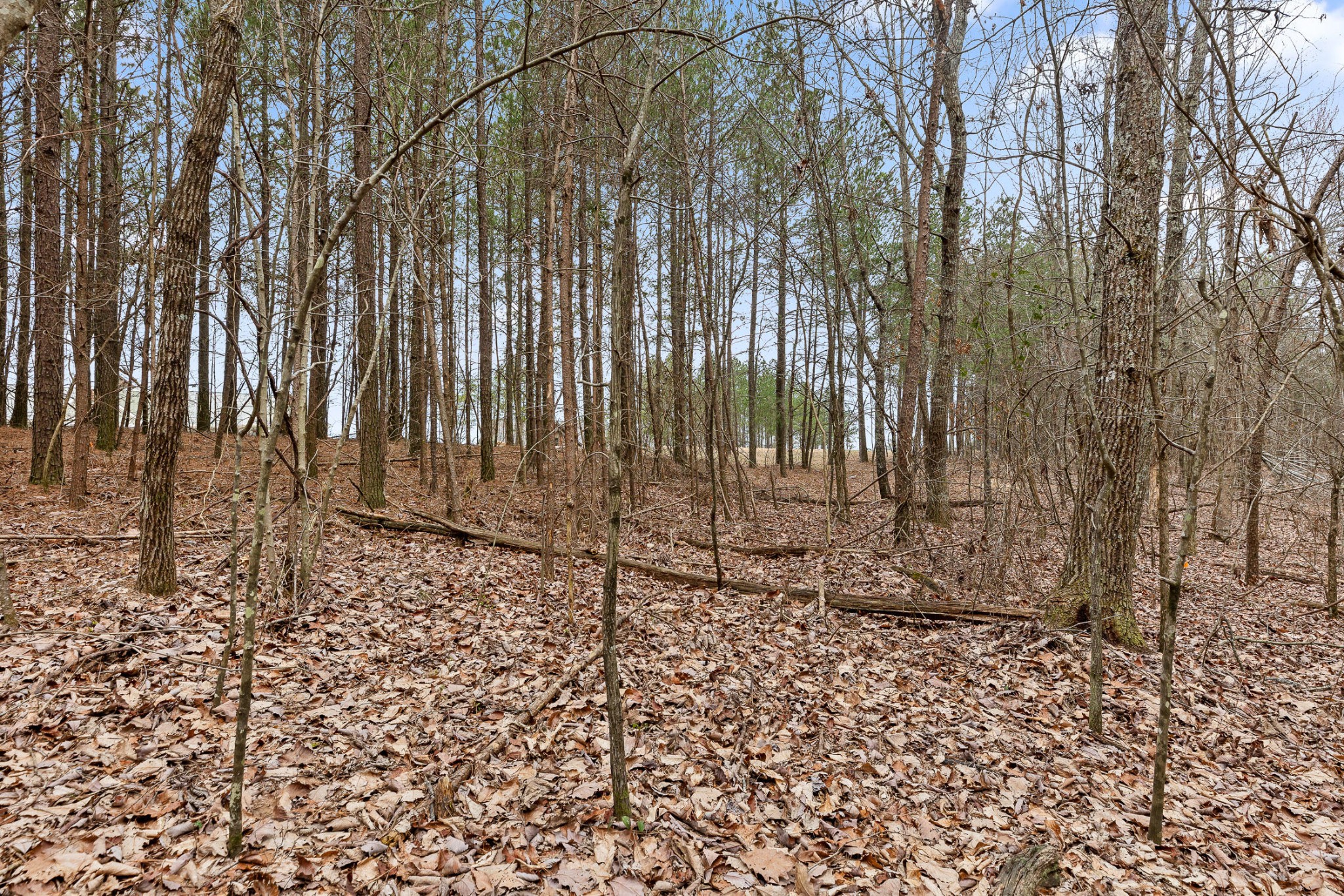0 Crockett Point Sequatchie TN 37374