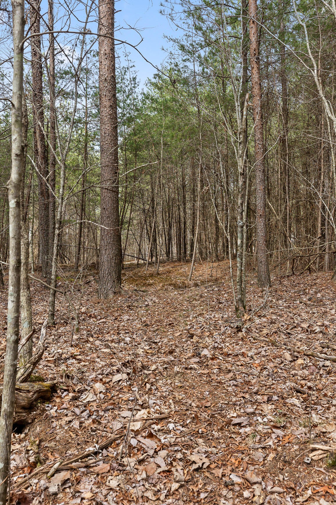 0 Crockett Point Sequatchie TN 37374