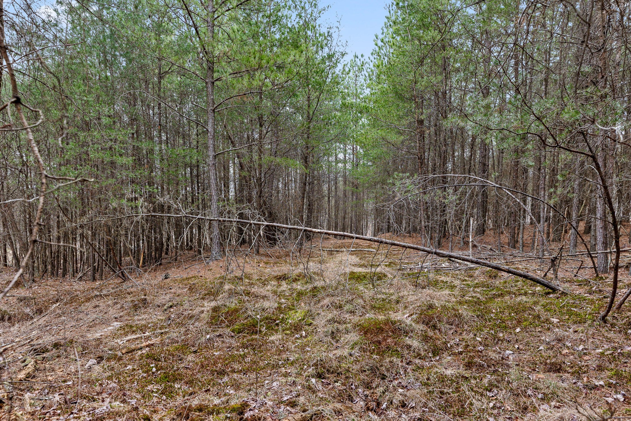 0 Crockett Point Sequatchie TN 37374