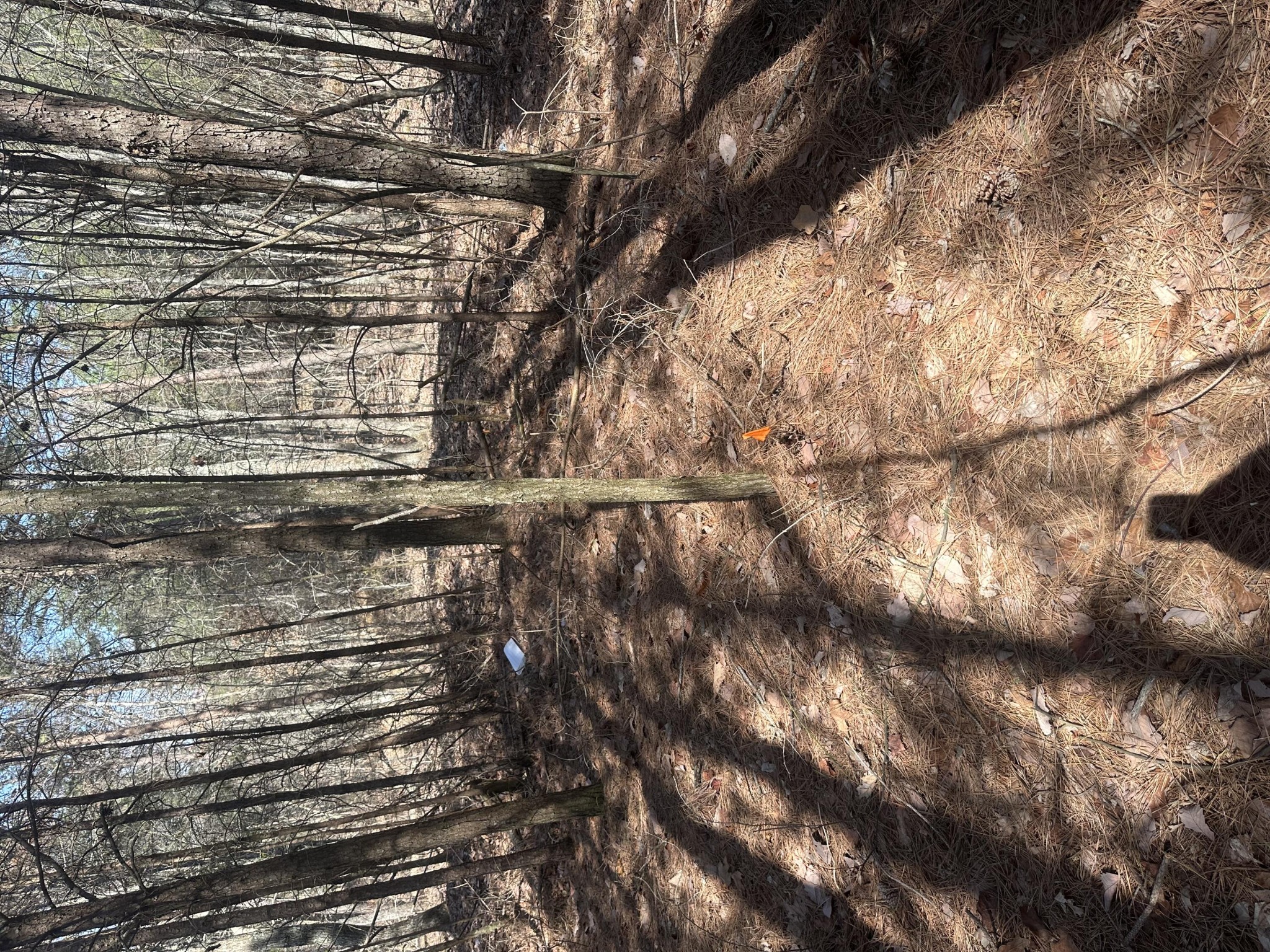 0 Crockett Point Sequatchie TN 37374