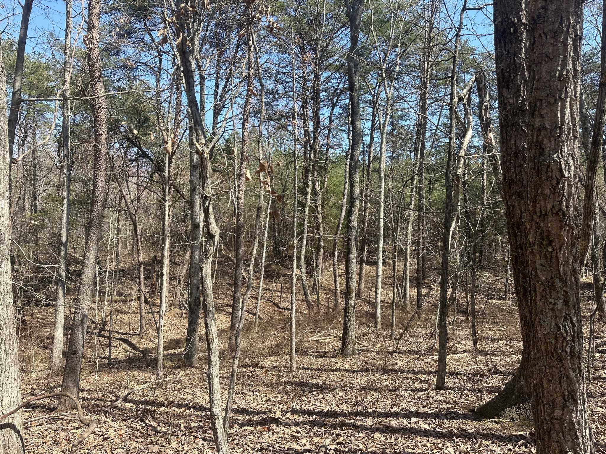 0 Crockett Point Sequatchie TN 37374