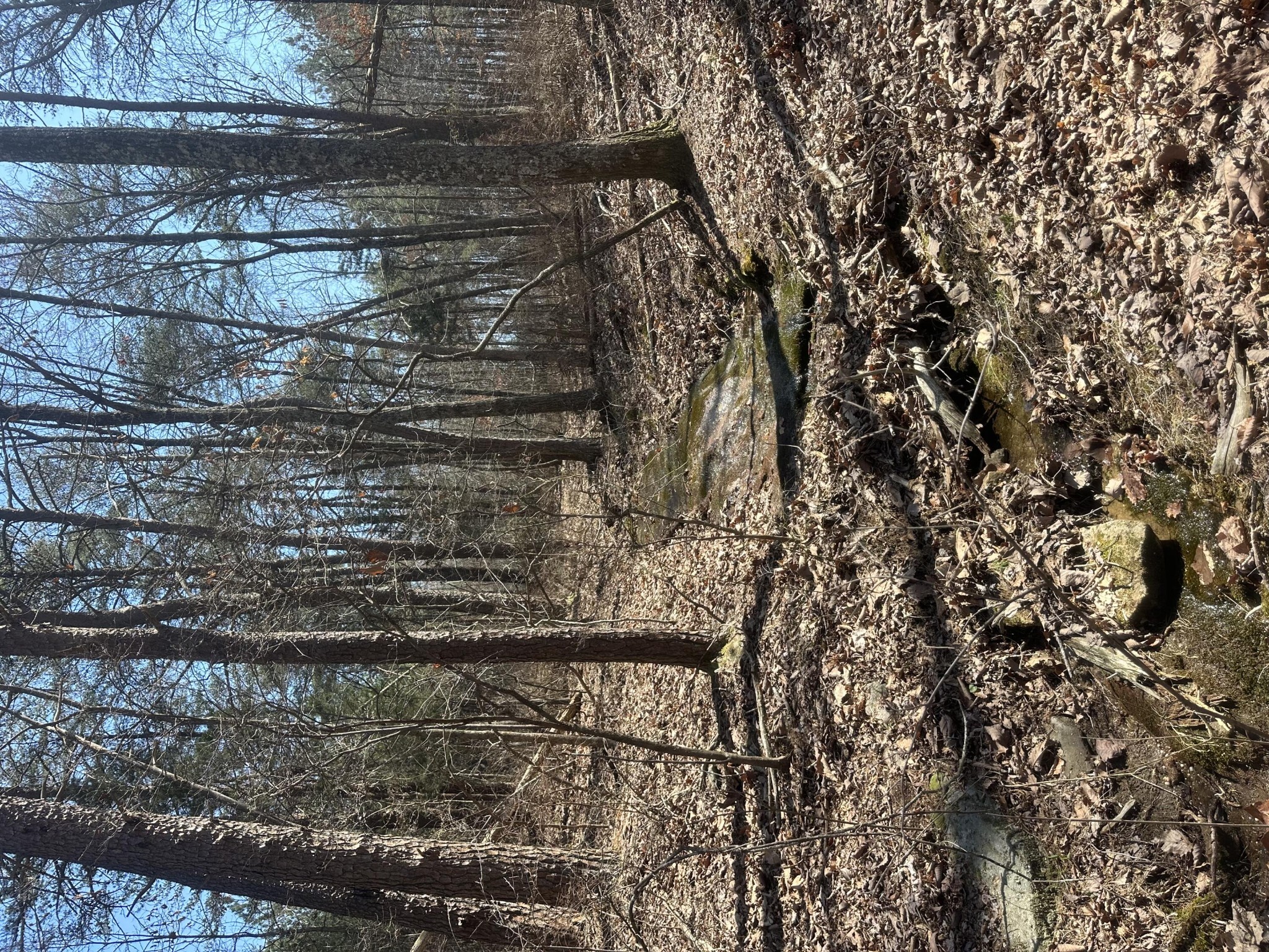 0 Crockett Point Sequatchie TN 37374