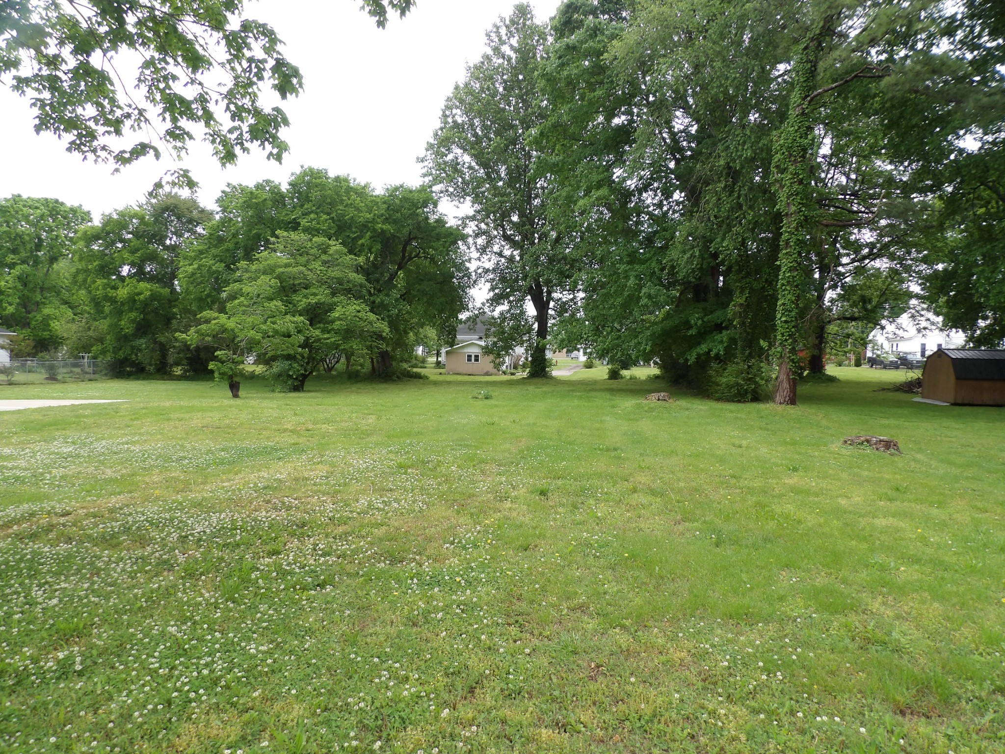 203 Carroll Avenue Waverly TN 37185