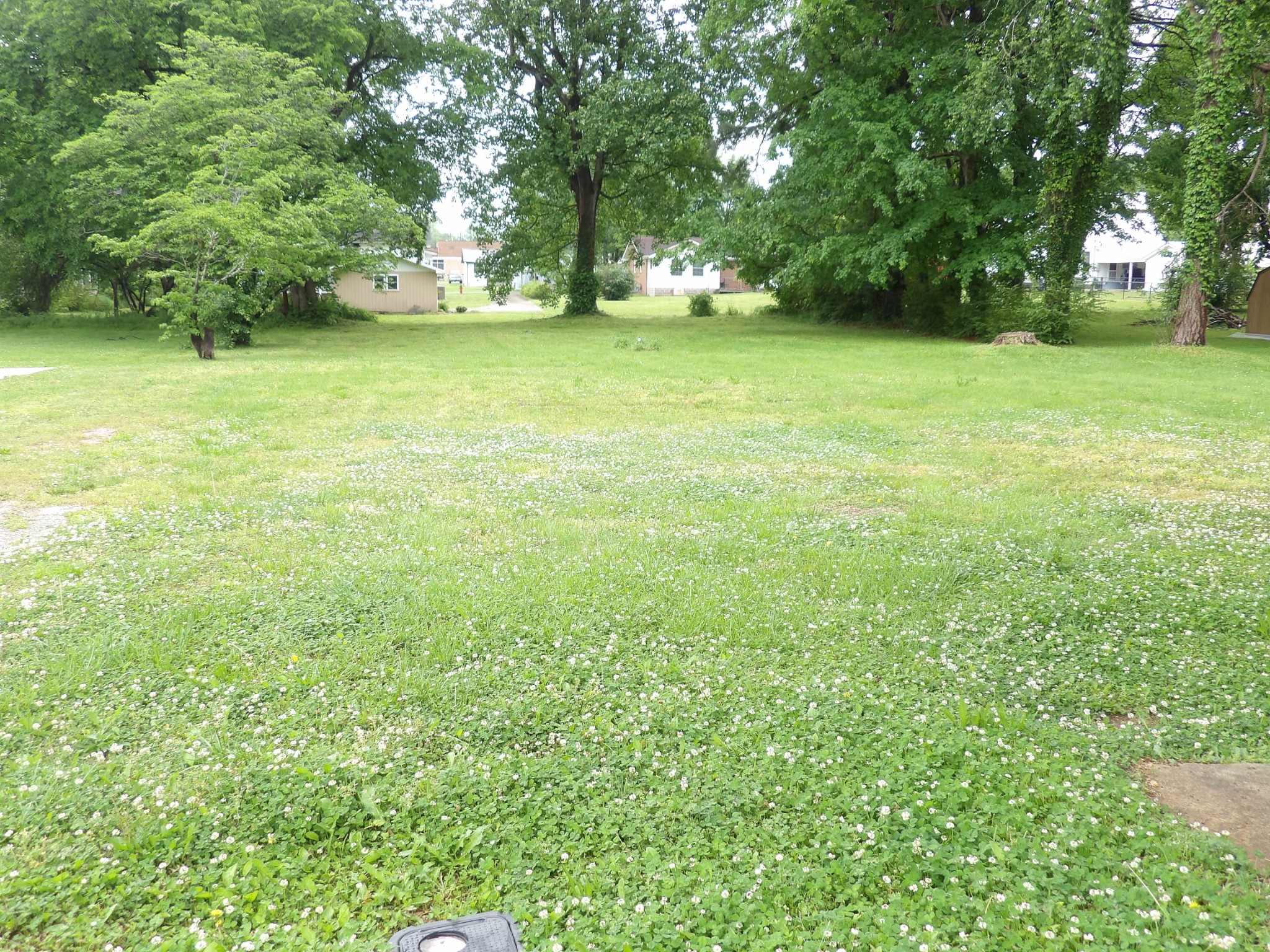 203 Carroll Avenue Waverly TN 37185