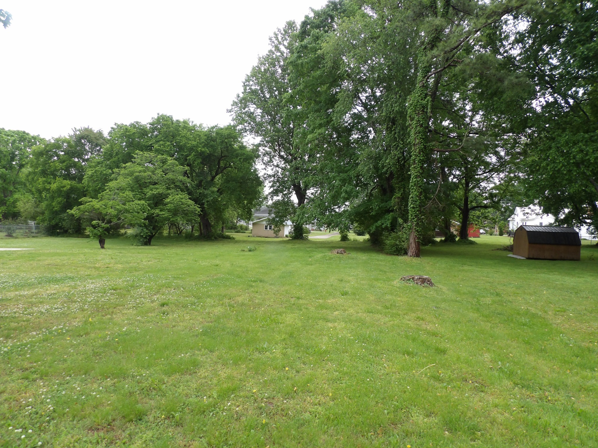 203 Carroll Avenue Waverly TN 37185