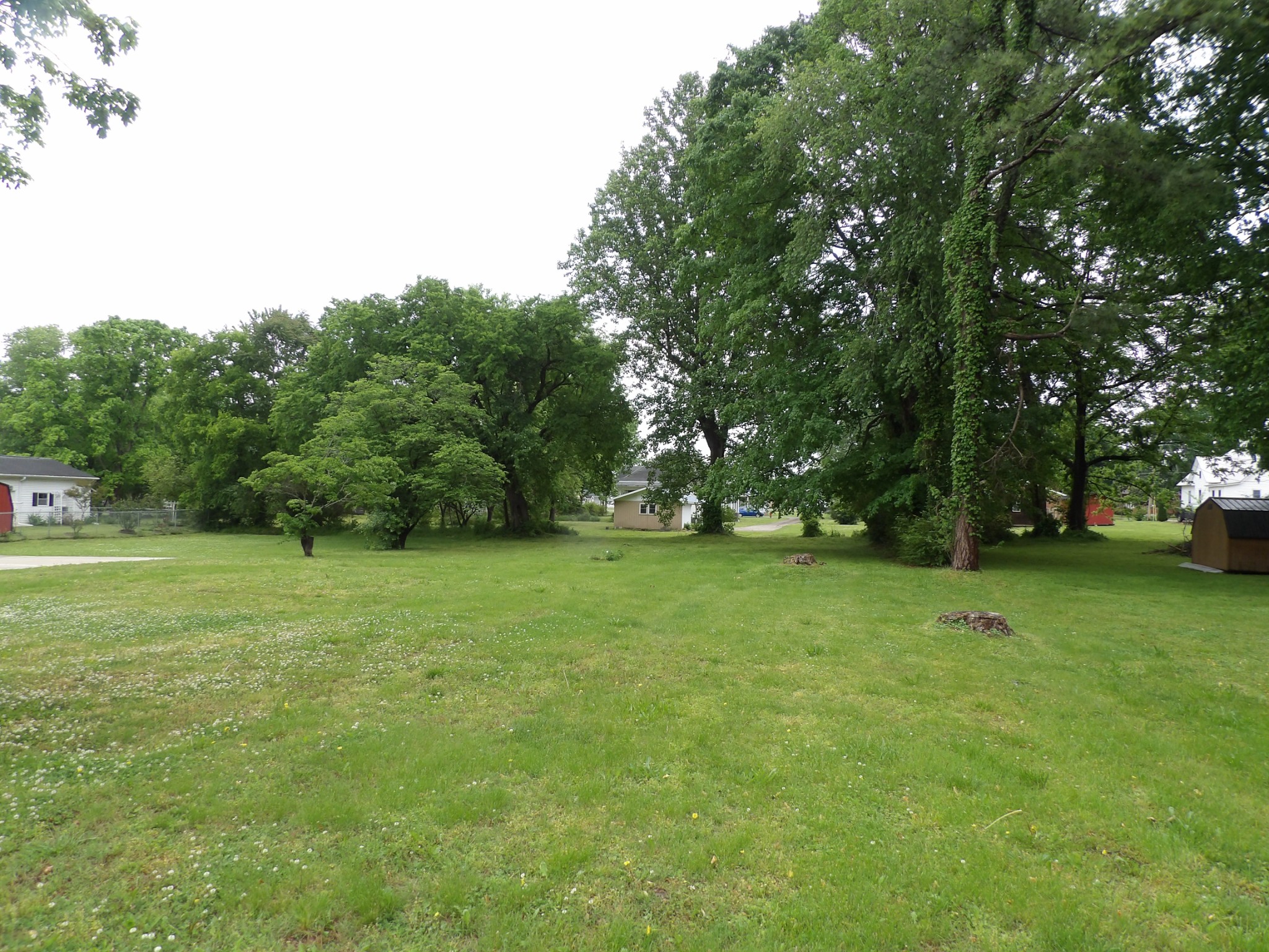 203 Carroll Avenue Waverly TN 37185