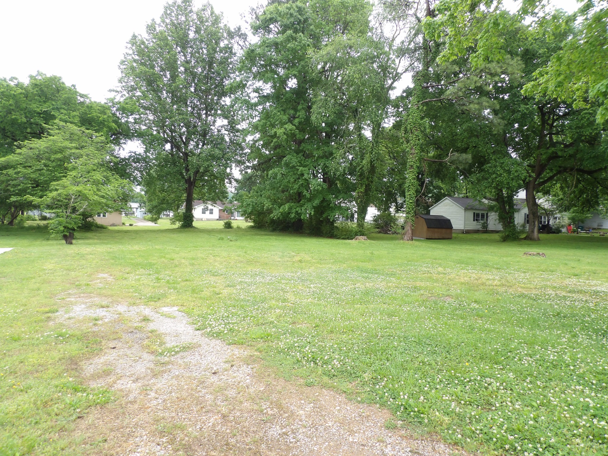 203 Carroll Avenue Waverly TN 37185