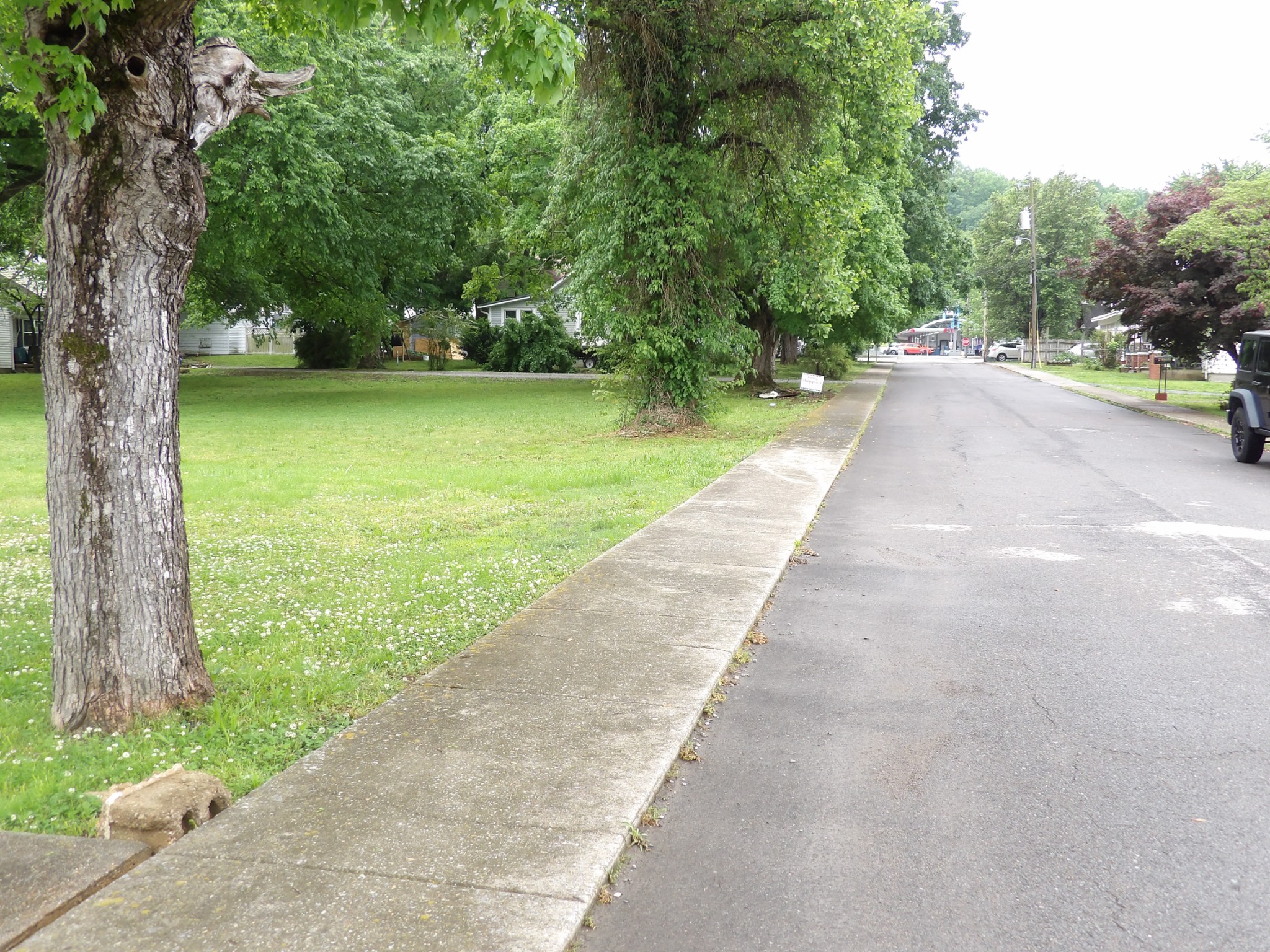 203 Carroll Avenue Waverly TN 37185