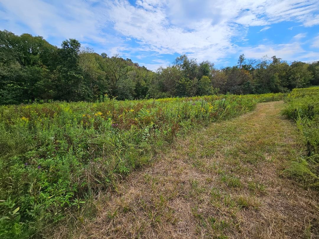 0 Highway 96 Buffalo Valley TN 38548