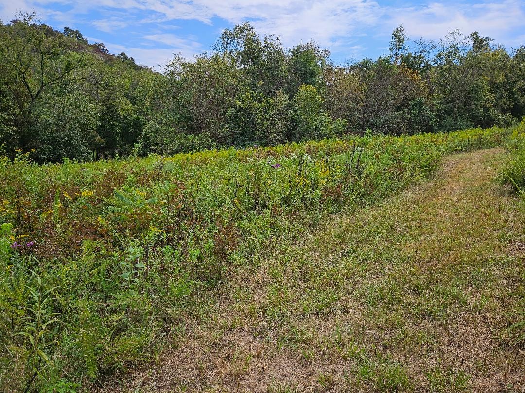 0 Highway 96 Buffalo Valley TN 38548
