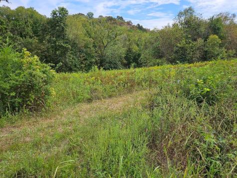 0 Highway 96 Buffalo Valley TN 38548