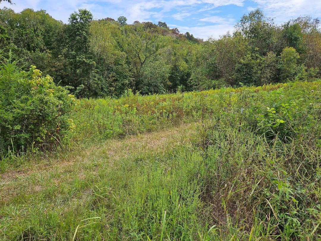0 Highway 96 Buffalo Valley TN 38548