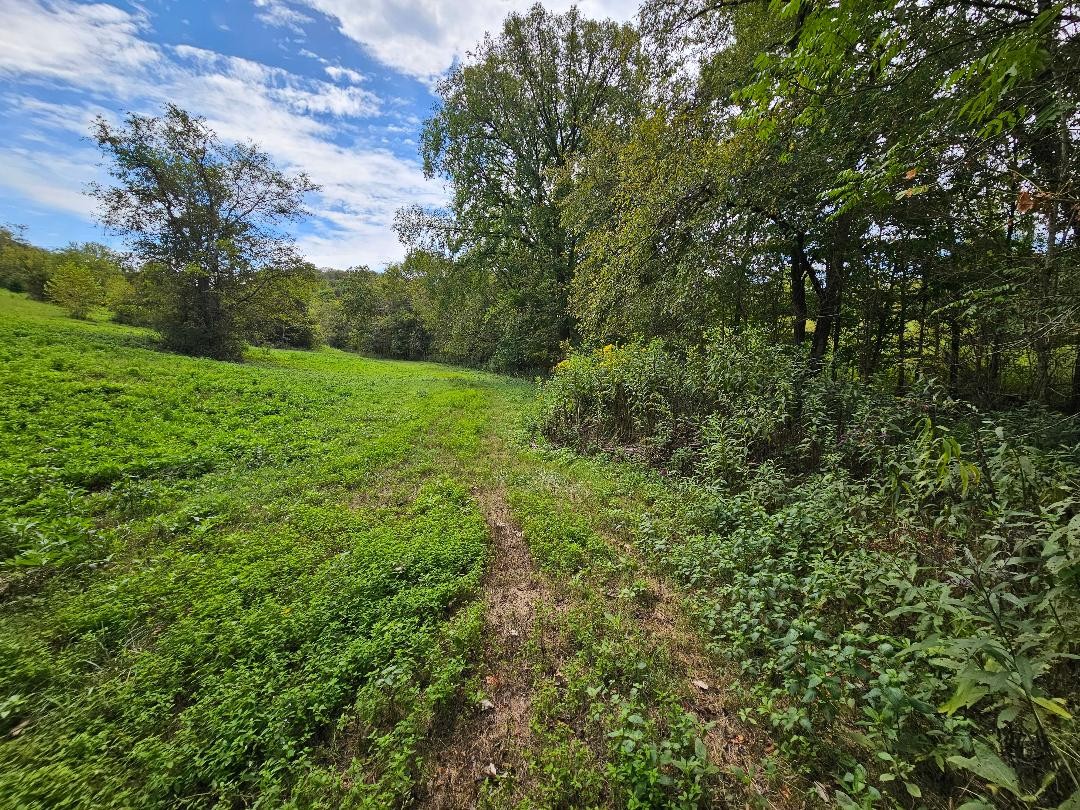 0 Highway 96 Buffalo Valley TN 38548