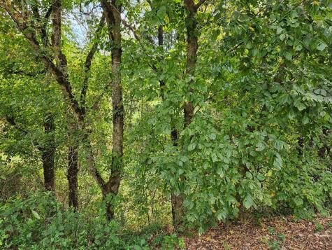 0 Highway 96 Buffalo Valley TN 38548