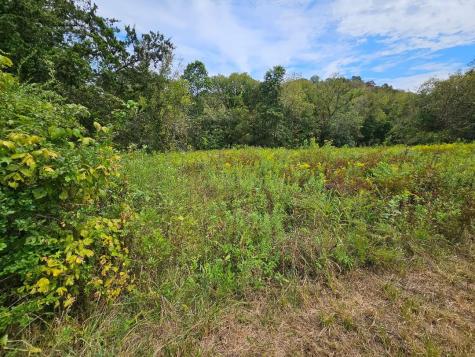0 Highway 96 Buffalo Valley TN 38548