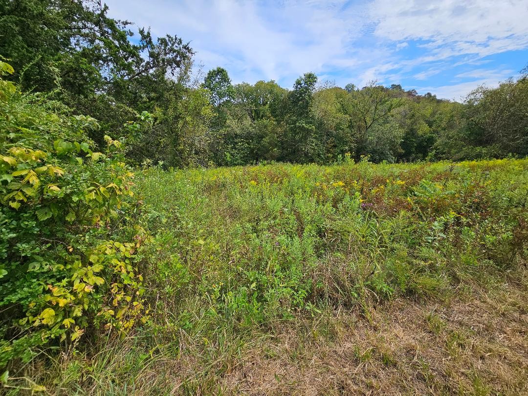 0 Highway 96 Buffalo Valley TN 38548